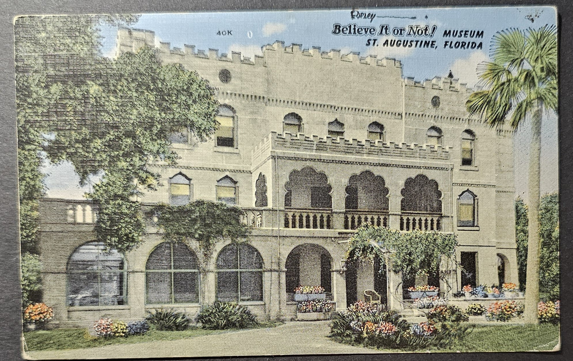 (image for) postcard USA - FL - Florida #0069